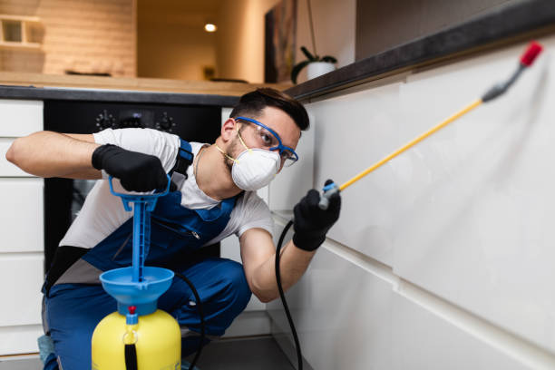 Best Residential Pest Control  in Salamanca, NY