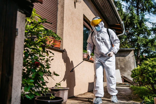 Best Wildlife Control Services  in Salamanca, NY