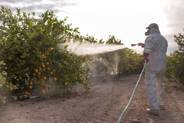 Best Pest Inspection Near Me  in Salamanca, NY