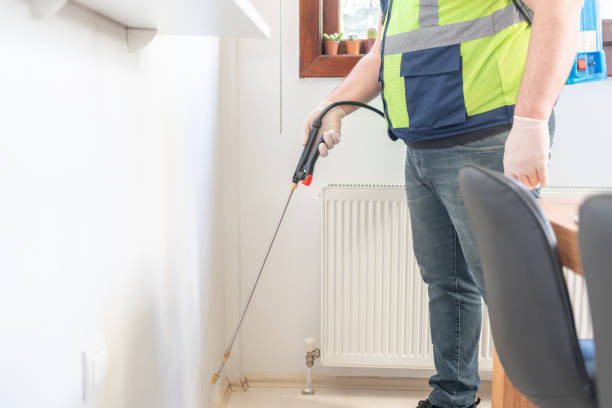 Best Ant Control Services  in Salamanca, NY