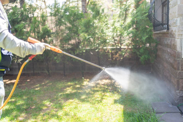 Best Best Pest Control Companies  in Salamanca, NY