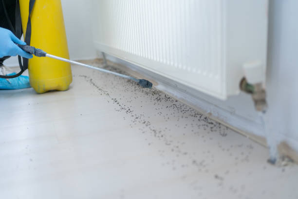 Best Commercial Pest Control Services  in Salamanca, NY