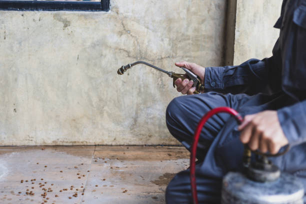 Best Mosquito Control Services  in Salamanca, NY